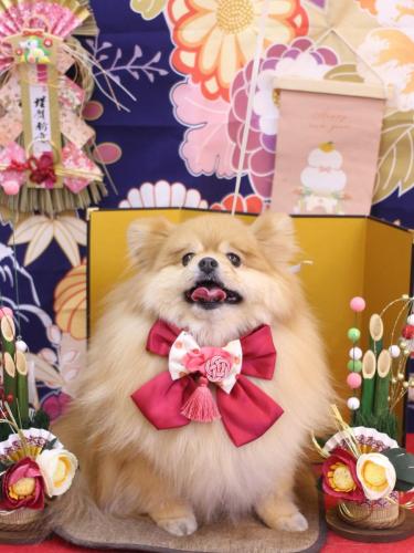 20240126梛都ちゃん